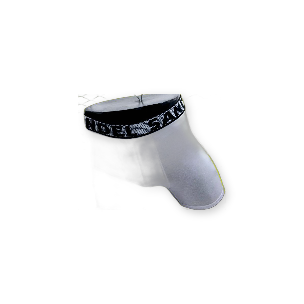 Boxer SANDEL